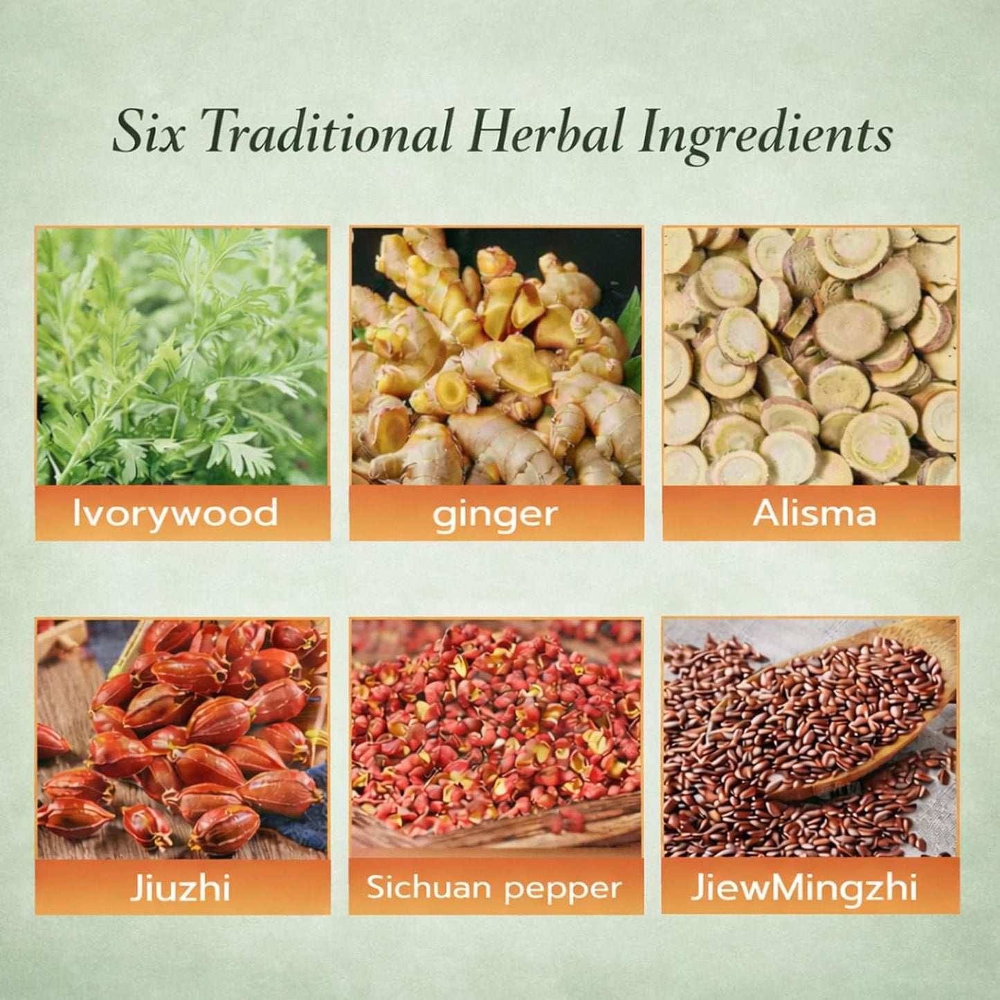 Alcuras® Herbal Balance Patch